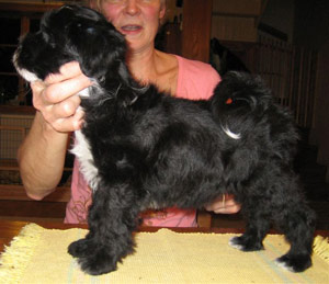 Mamma och son
